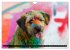 Coole bunte Hunde (Wandkalender 2025... - Bild 7