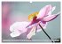 Blumenfeier (Wandkalender 2025 DIN A3... - Bild 5