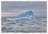 Svalbard-Momente (Wandkalender 2025 DIN... - Bild 3