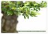 Bonsai ganz nah (Wandkalender 2025 DIN... - Bild 8
