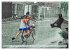 Mein Fahrrad (Wandkalender 2025 DIN A3... - Bild 3