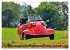 Messerschmitt Oldtimer - Kumpels fürs... - Bild 10