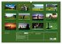 Golf Sport (Wandkalender 2025 DIN A2... - Bild 6