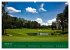 Golf Sport (Wandkalender 2025 DIN A2... - Bild 7
