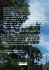 Waldnest° Story - Bild 2