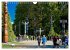 Vancouver Perspektiven (Wandkalender... - Bild 15