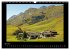 Oberengadin (Wandkalender 2025 DIN A3... - Bild 12