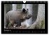 Wolf, Luchs und Co. - Tierbilder aus... - Bild 5