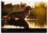 Toller - Nova Scotia Duck Tolling... - Bild 10