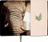 myNOTES Notizbuch A5: Elefanten  ... - Bild 3