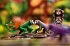 Funky Monkey (Kinderspiel)  ... - Bild 7