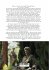 Marcus Aurelius - Bild 2