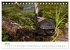 Heimische Tierwelt (Tischkalender 2025... - Bild 13