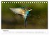 Heimische Tierwelt (Tischkalender 2025... - Bild 14
