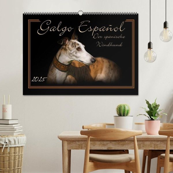 Galgo Español 2025- Der spanische Windhund (Wandkalender 2025 DIN A2 quer), … von Calvendo 