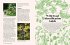 The Grizzly Forager's Guide to Family... - Bild 7