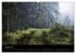Waldkalender (hochwertiger Premium... - Bild 13