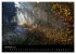 Waldkalender (hochwertiger Premium... - Bild 3