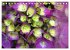Hortensien / Geburtstagskalender... - Bild 8