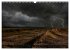 WETTER-LANDSCHAFTEN (Wandkalender 2025... - Bild 13