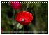 Mohn (Tischkalender 2025 DIN A5 quer),... - Bild 12