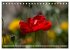 Mohn (Tischkalender 2025 DIN A5 quer),... - Bild 10