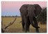 Botswana Wildlife (Tischkalender 2025... - Bild 14