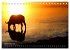 Botswana Wildlife (Tischkalender 2025... - Bild 15