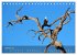 Botswana Wildlife (Tischkalender 2025... - Bild 8