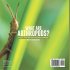 What are Arthropods? Functions, Groups,... - Bild 2