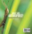 What are Arthropods? Functions, Groups,... - Bild 2