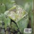 Seedless Plants Explained   Importance... - Bild 2