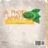 A Photo What? Photosynthesis Explained ... - Bild 2