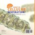 What is Cellular Respiration? Process,... - Bild 2