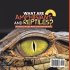 What are Amphibians and Reptiles?... - Bild 2
