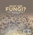 What are Fungi? Groups, Characteristics... - Bild 2