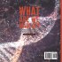 What Are We Made Of? Understanding the... - Bild 2