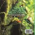 What is Natural Selection?... - Bild 2