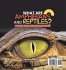 What are Amphibians and Reptiles?... - Bild 2