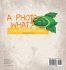 A Photo What? Photosynthesis Explained ... - Bild 2