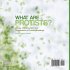 What are Protists? Groups,... - Bild 2