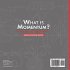 What is Momentum? Defining and... - Bild 2
