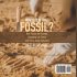 How Old is That Fossil? How Fossils are... - Bild 2