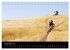 Bike Dreams (Tischkalender 2025 DIN A5... - Bild 15