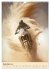 Motorrad Wüstenrennen (Wandkalender... - Bild 5