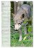 Der Wolf - Isegrim in den heimischen... - Bild 11