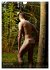 Naturburschen unverhüllt (Wandkalender... - Bild 5
