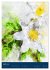 Wilde Blumen - Illustrierter... - Bild 9