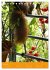 Mein Bio-Balkon: Naturerlebnis mitten... - Bild 12