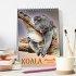 Koala, kleiner Bär (Tischkalender 2025... - Bild 2